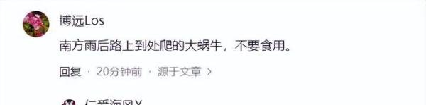 突发!台8旬老人捡蜗牛包粽子吃致3死,知情人士透露其原因