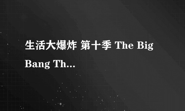 生活大爆炸 第十季 The Big Bang Theory Season 10 (2016)全集未删减高清版免费下载