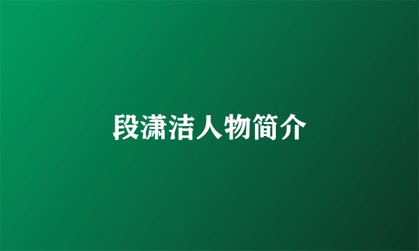 段潇洁人物简介
