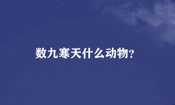 数九寒天什么动物？