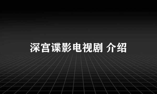 深宫谍影电视剧 介绍