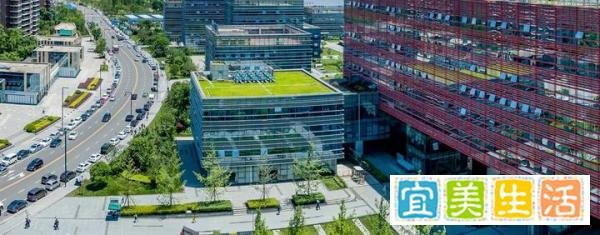 注意！第七次全国人口普查明起开展入户摸底