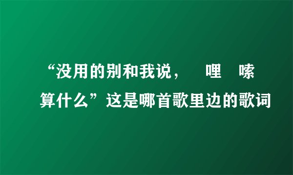 “没用的别和我说，啰哩啰嗦算什么”这是哪首歌里边的歌词