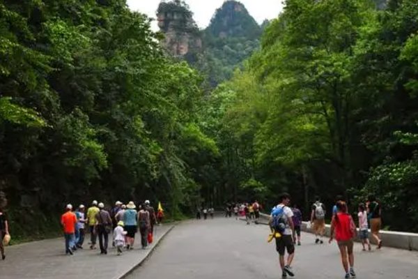 有关旅游的诗句