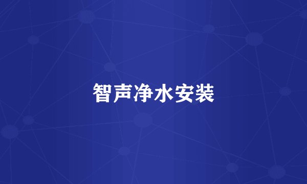 智声净水安装