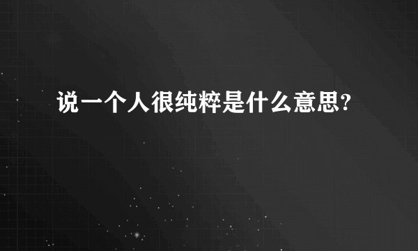说一个人很纯粹是什么意思?