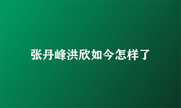 张丹峰洪欣如今怎样了