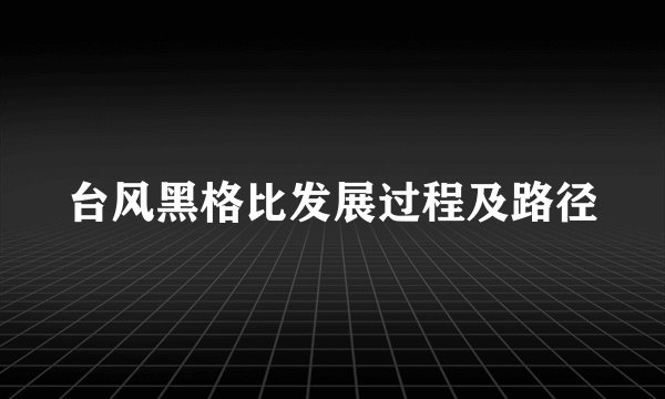 台风黑格比发展过程及路径