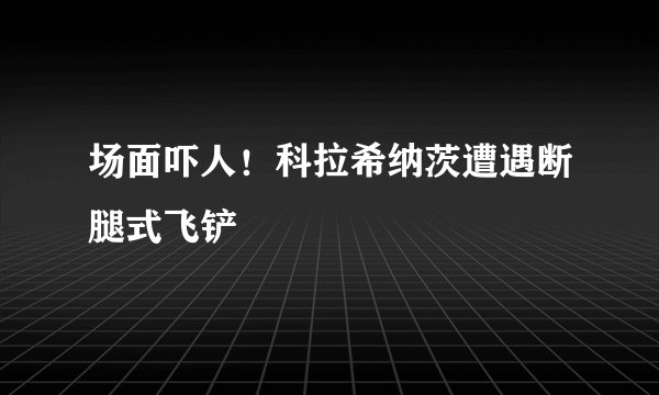 场面吓人！科拉希纳茨遭遇断腿式飞铲