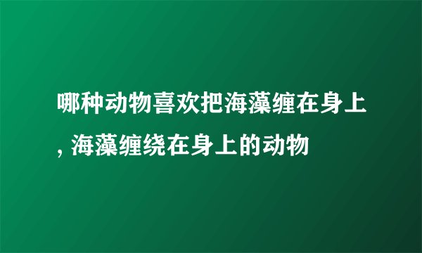 哪种动物喜欢把海藻缠在身上, 海藻缠绕在身上的动物