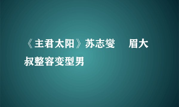《主君太阳》苏志燮 囧眉大叔整容变型男