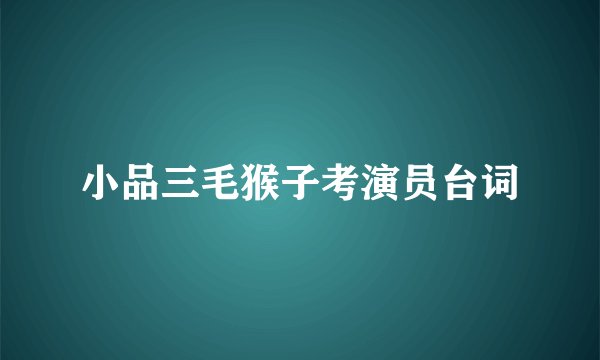 小品三毛猴子考演员台词