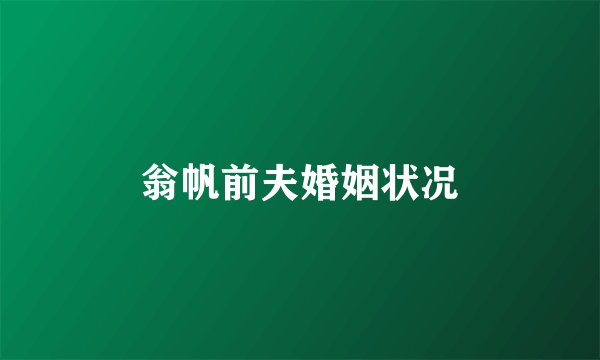 翁帆前夫婚姻状况