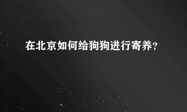 在北京如何给狗狗进行寄养?