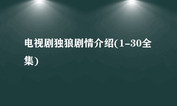 电视剧独狼剧情介绍(1-30全集)