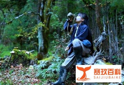 网红李子柒年入多达1.6亿,收入如此之高,堪比大型企业