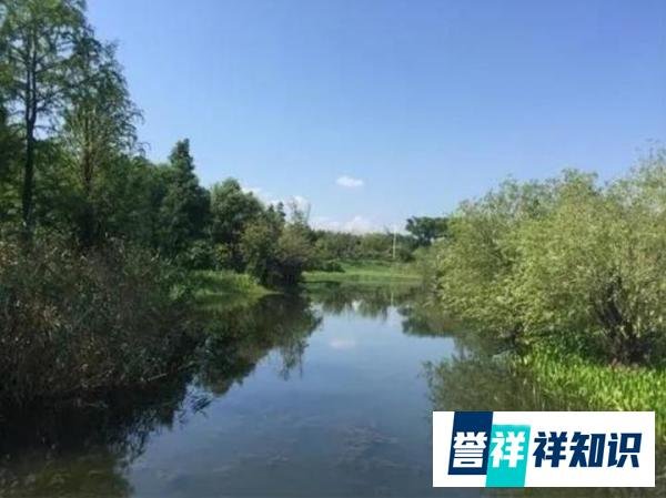 发财猛的祖坟风水都有什么特征？