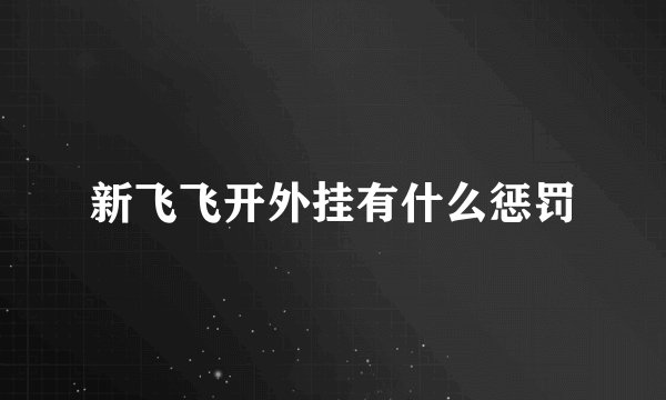 新飞飞开外挂有什么惩罚