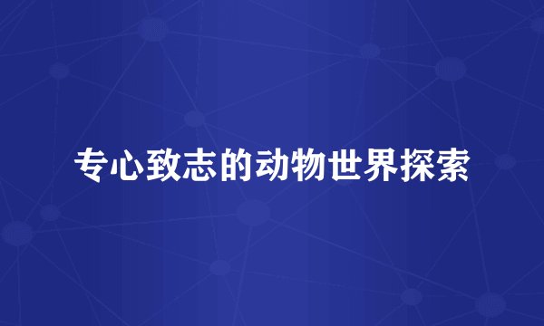 专心致志的动物世界探索