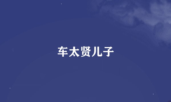 车太贤儿子