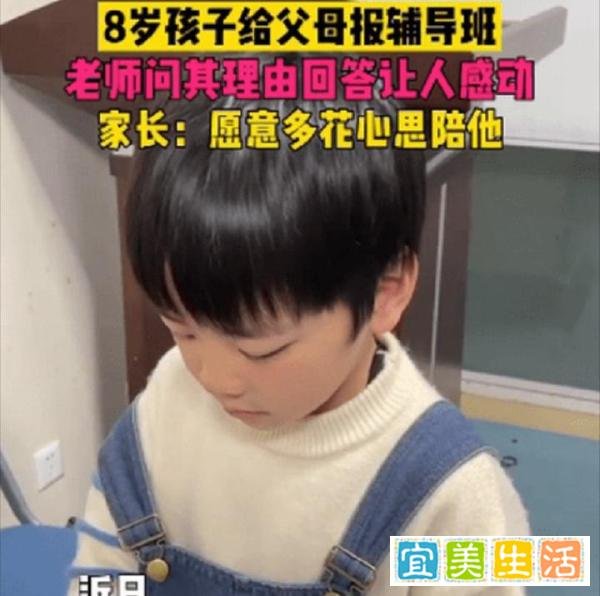 8岁男孩给父母报名自己的“同款辅导班”，理由让人暖心又内疚