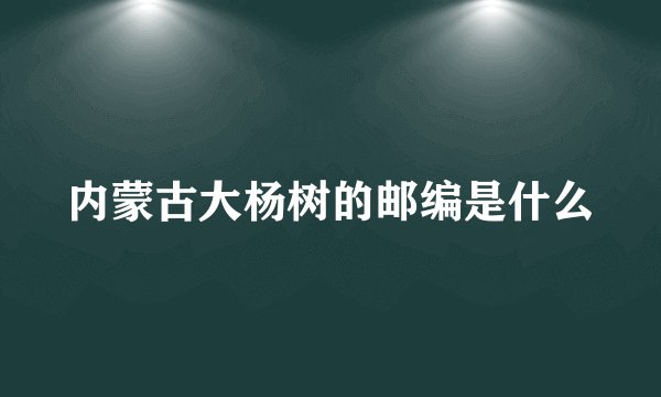 内蒙古大杨树的邮编是什么
