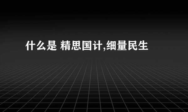 什么是 精思国计,细量民生