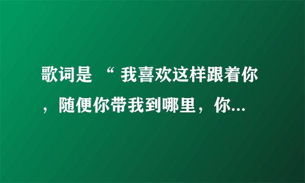 歌词是 “ 我喜欢这样跟着你，随便你带我到哪里，你的脸，慢慢贴近，明天也慢慢的慢慢的清晰 ”