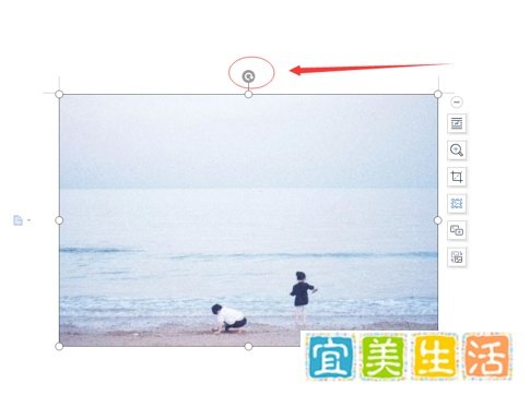 WPS中Word如何旋转图片?
