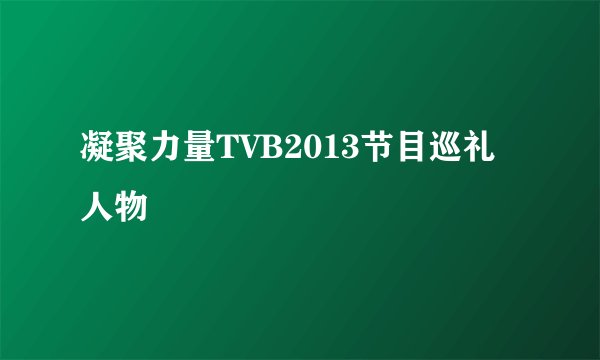 凝聚力量TVB2013节目巡礼人物