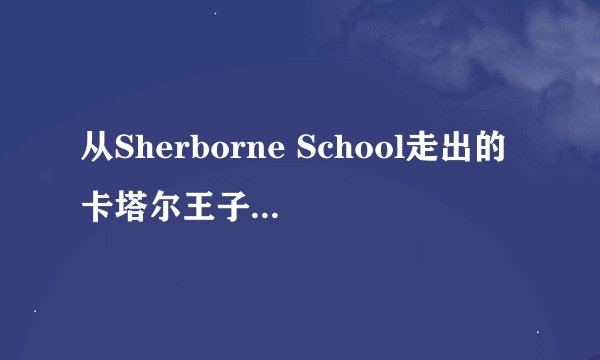 从Sherborne School走出的卡塔尔王子主动放弃王储，竟成为商业奇才，举办世界杯！