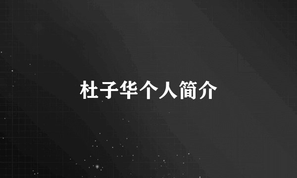 杜子华个人简介