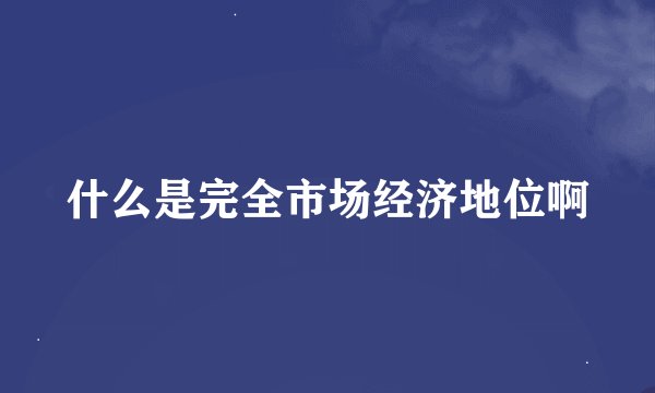 什么是完全市场经济地位啊