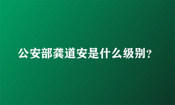 公安部龚道安是什么级别?