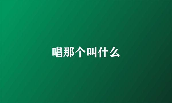 唱那个叫什么