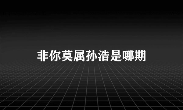 非你莫属孙浩是哪期