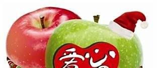 雅安地震去哪里捐款