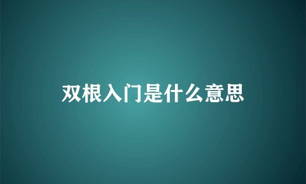 双根入门是什么意思