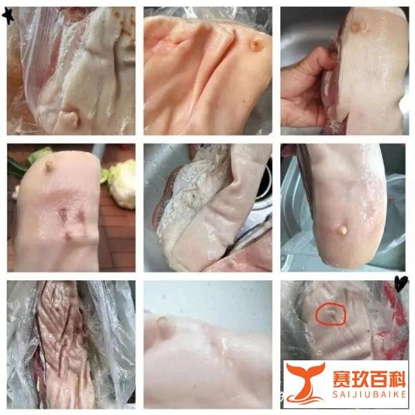 尝一口就腹泻鸭，劣质猪肉，山寨粉丝等等，上海防疫礼包大跌眼镜