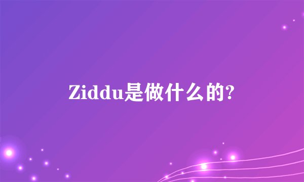 Ziddu是做什么的?