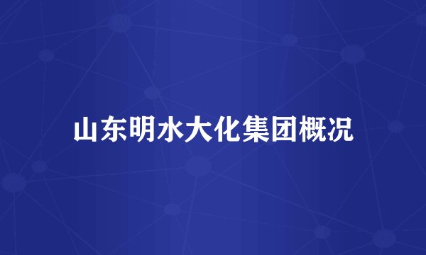 山东明水大化集团概况