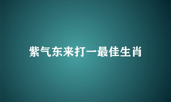 紫气东来打一最佳生肖