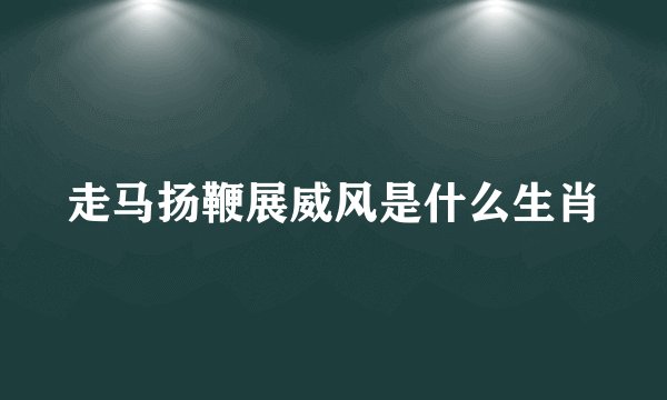 走马扬鞭展威风是什么生肖