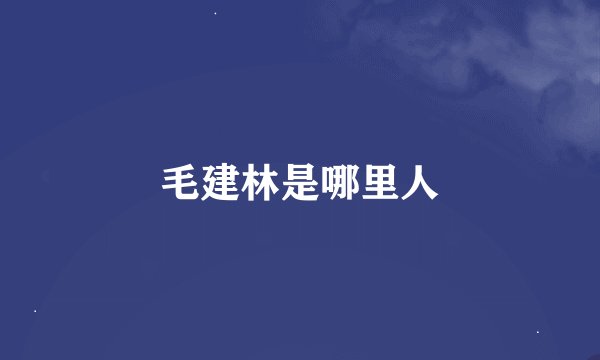 毛建林是哪里人