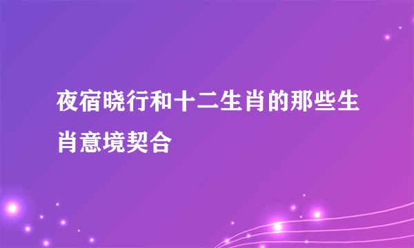 夜宿晓行和十二生肖的那些生肖意境契合