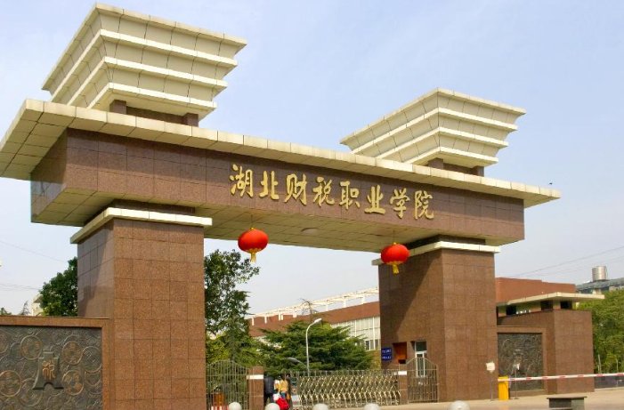 武汉专科学校分数线