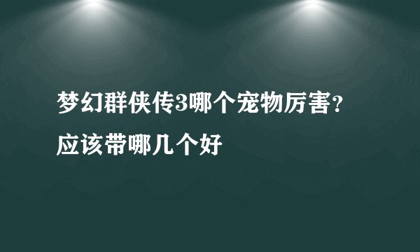 梦幻群侠传3哪个宠物厉害？应该带哪几个好