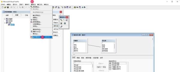 VF9.0 运行查询的四种方法