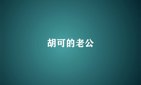 胡可的老公