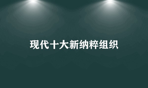 现代十大新纳粹组织